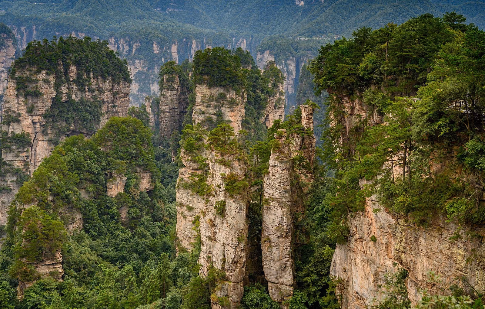 Tree-topped sandstone pillars in Zhangjiajie National Forest Park