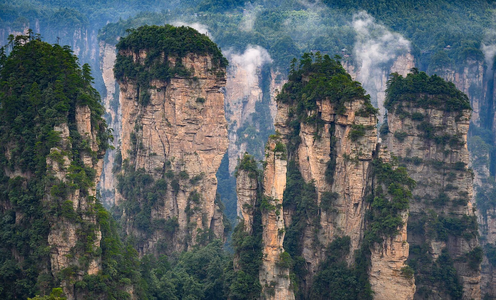 A closer view of the forested sandstone peaks in Zhangjiajie National Forest Park