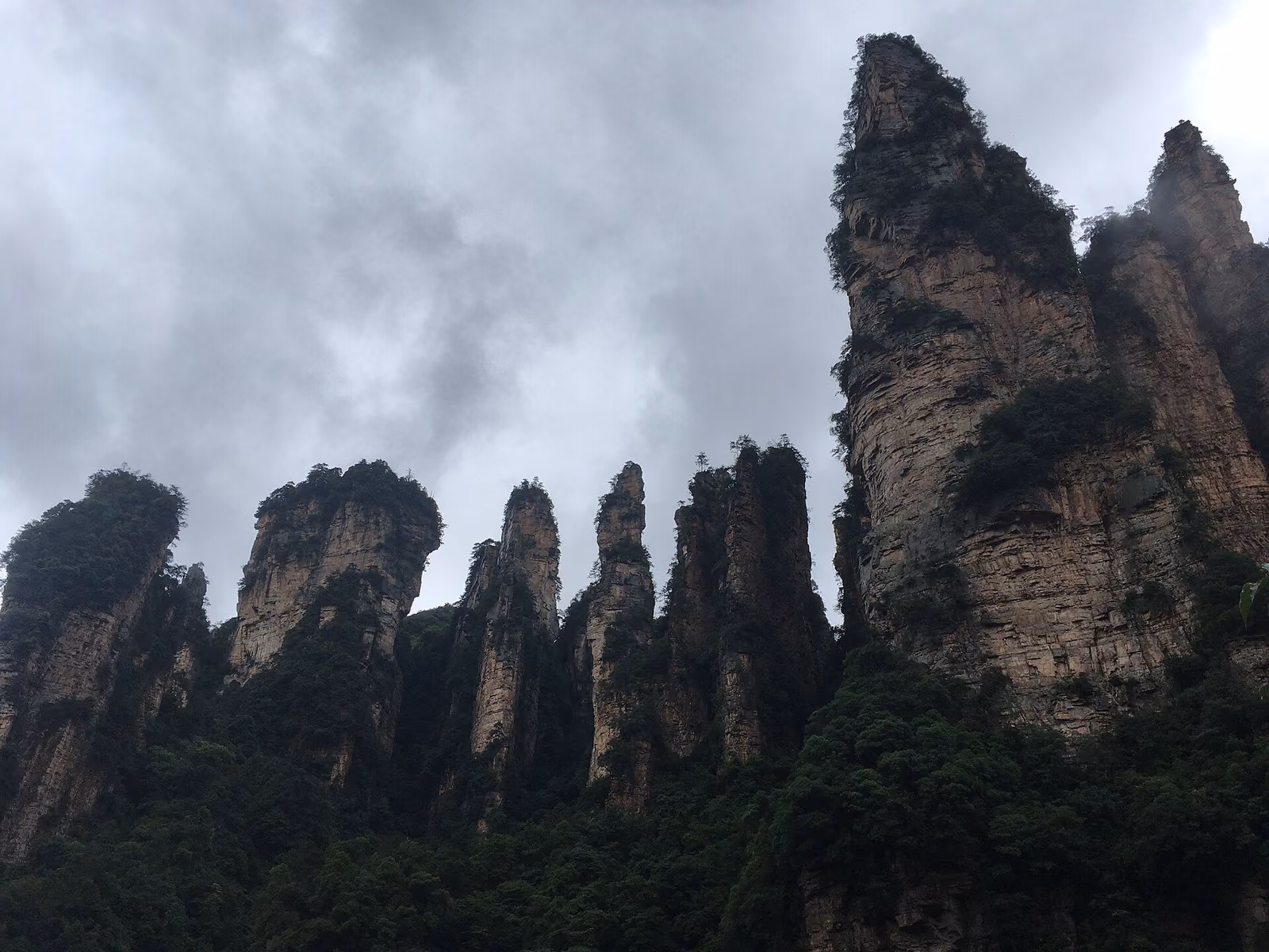 Sandstone cliffs and wooded pillars in the Yuanjiajie scenic area