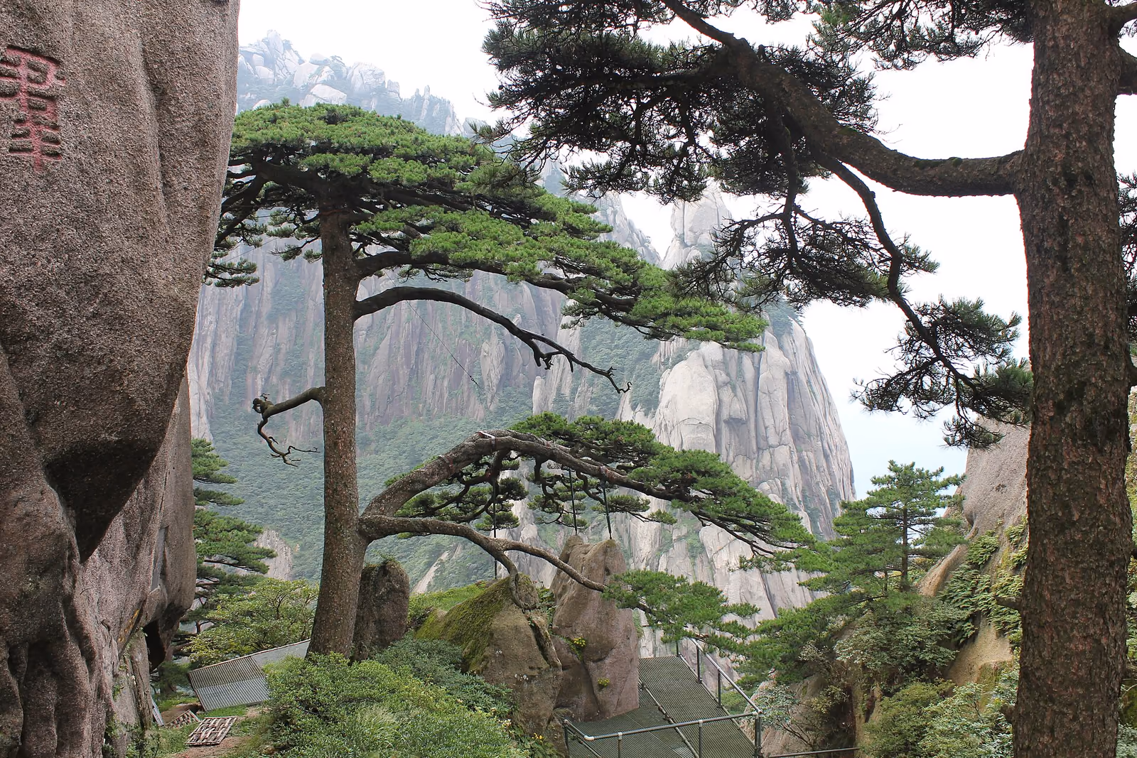 A broad view across Mount Huangshan's granite ridges