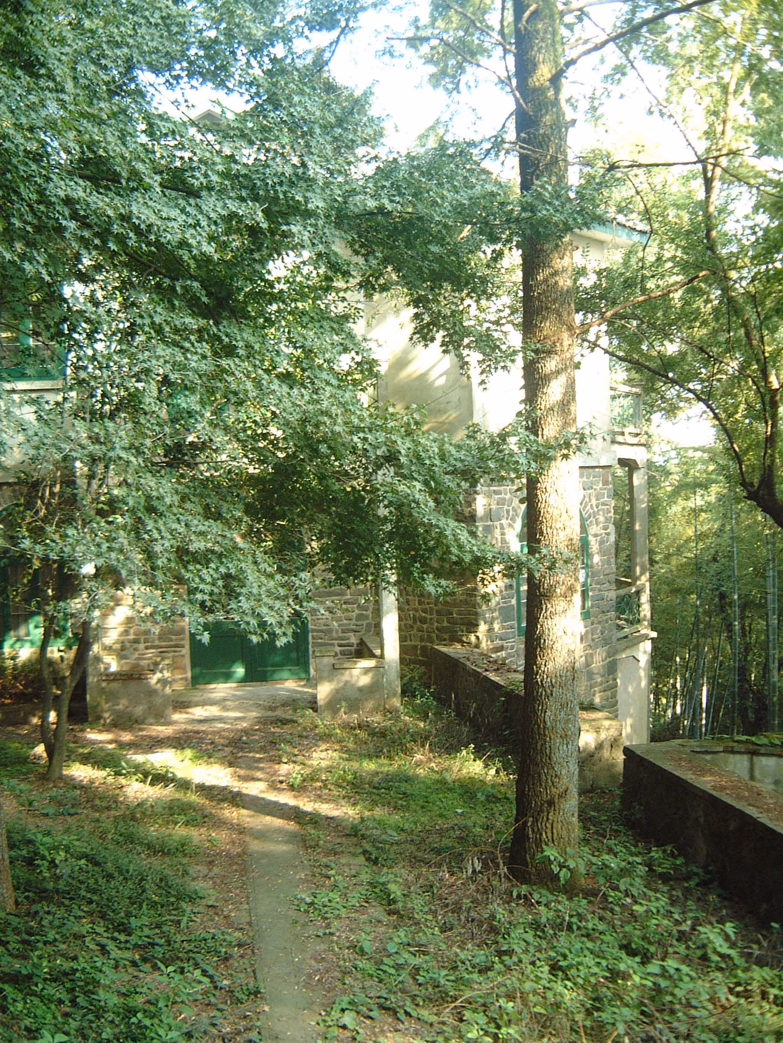 An old villa partly hidden in the Moganshan forest