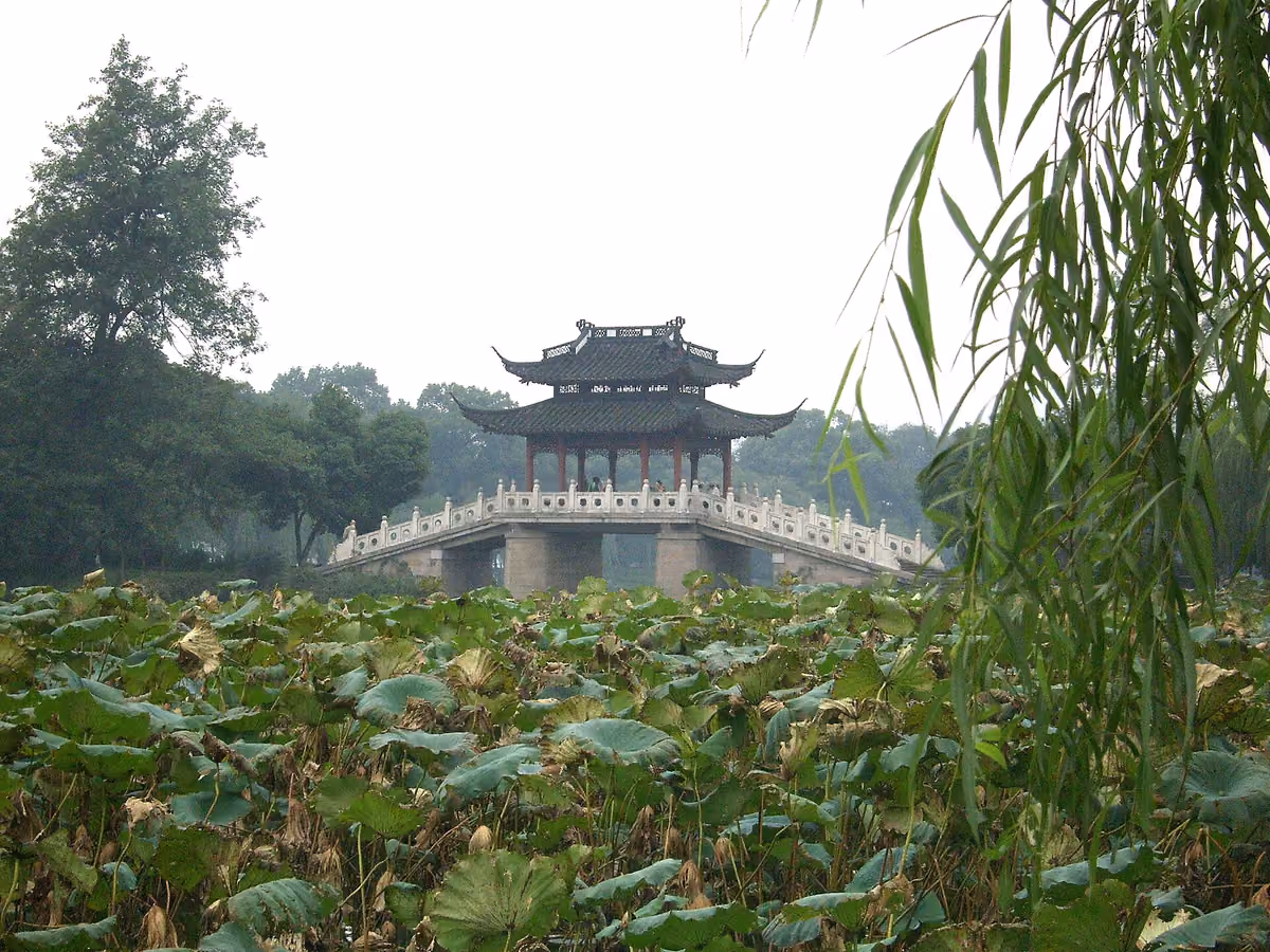Lotus beds and Jade Belt Bridge at Quyuan Garden, West Lake, Hangzhou