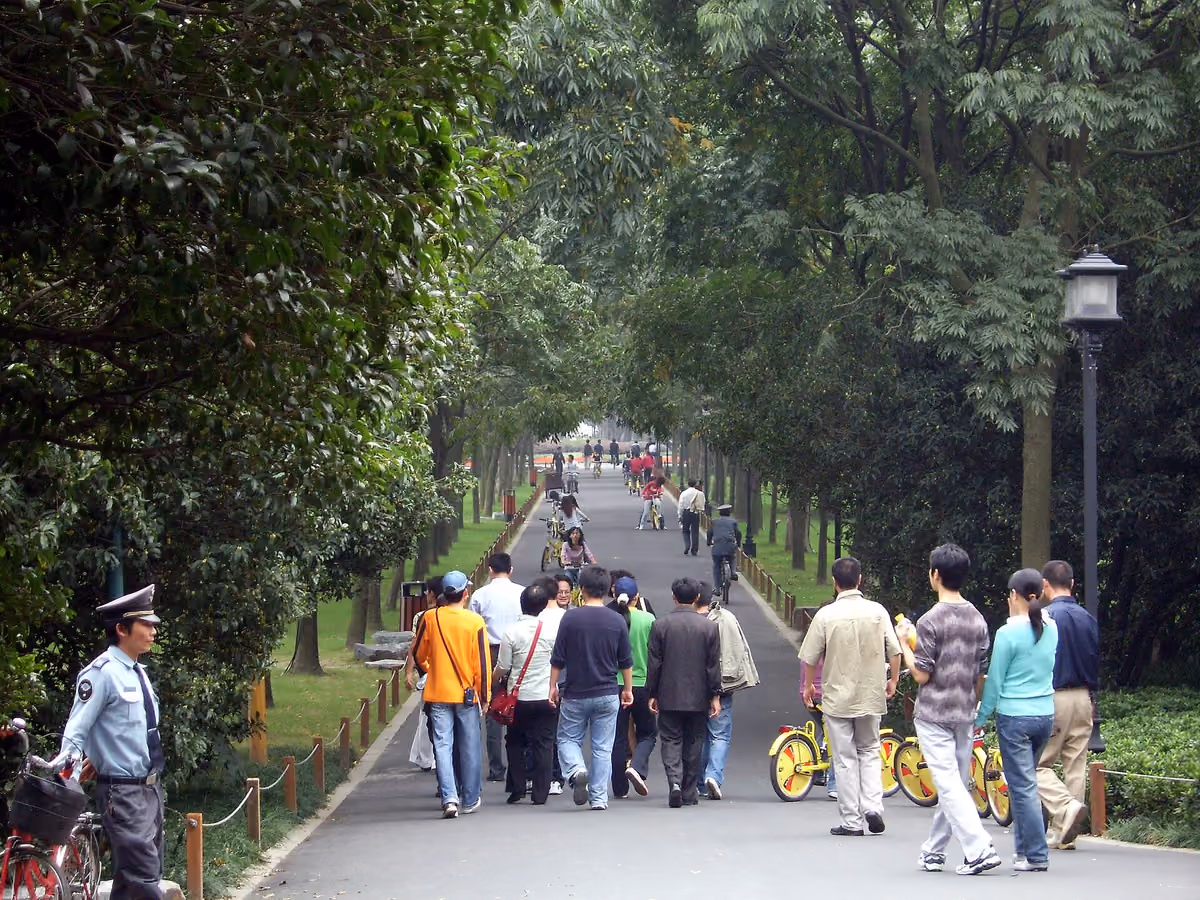 Visitors walking beneath trees along Su Causeway at West Lake, Hangzhou