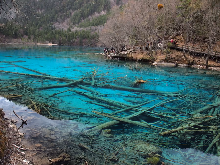 Five Flower Lake in Jiuzhaigou, China