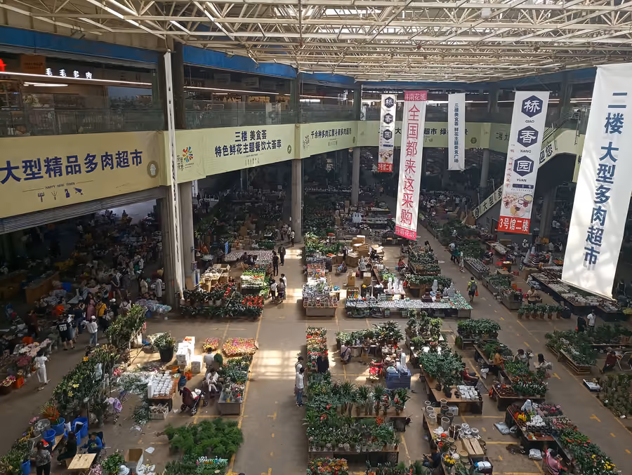Dounan Flower Market in Kunming, China