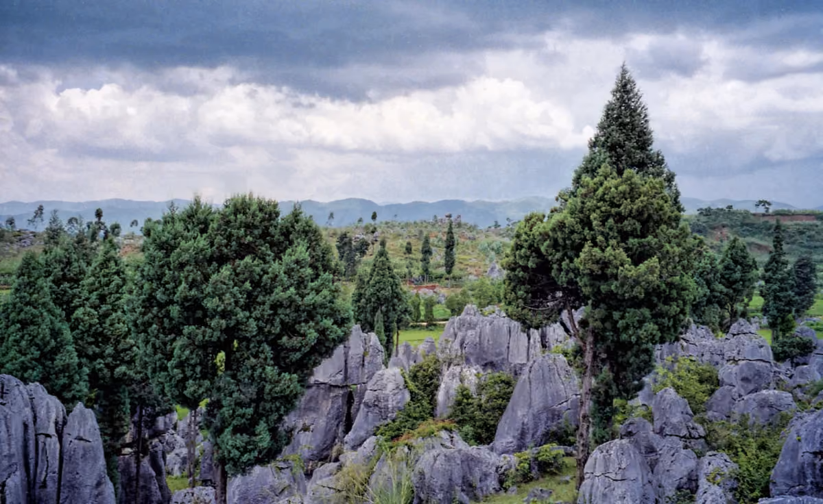 Limestone pinnacles in the Stone Forest near Kunming