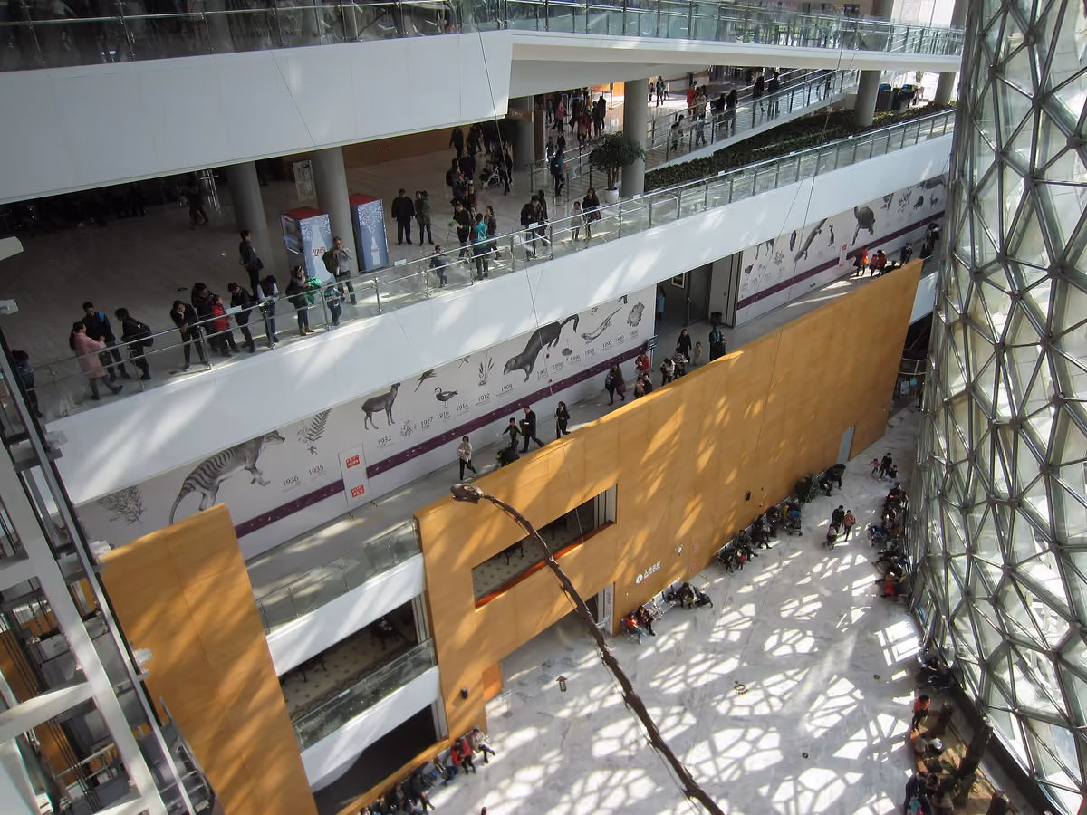 Shanghai Natural History Museum (上海自然博物馆), Shanghai